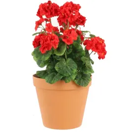 doniczka-okragla-3-9l-kolor-terracota-o-22-cm-plastikowa-do-kompozycji-kwi