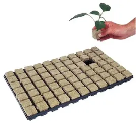 welna-minerlana-grodan-w-plastikowej-tacy-kostki-3-6x3-6xh4cm-77szt
