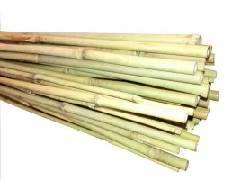 tyczka-bambusowa-dl-120cm-grubosc-12-14mm-1-sztuka