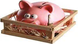 skarbonka-swinka-dla-doroslych-i-dzieci-ceramiczna-wielokolorowa-14x12cm