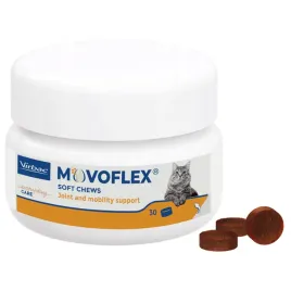 movoflex-dla-kota-30-krokietow-butleka