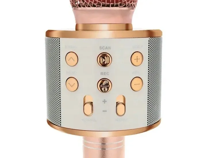 mikrofon-izoxis-ws-858-marka-inny-model-ws-858