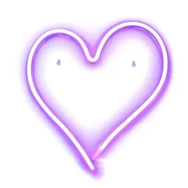 2-x-neon-led-na-usb-serce-model