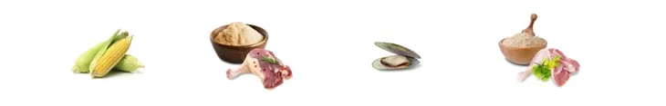 josidog-mini-900g-marka-josera