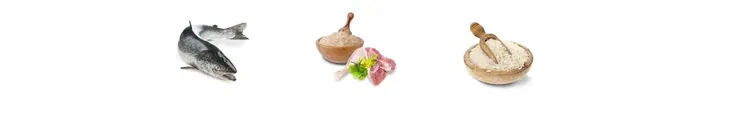 josera-minette-kitten-2kg-kod-producenta-4032254748977