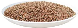 rzodkiew-oleista-1kg-paszowa-pasza-nasiona-czyste-nawoz-urzyznia-glebe