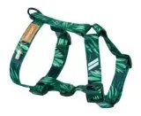 lauren-szelki-guard-forest-xl