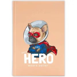 kalendarz-ksiazkowy-2026-hero-wears-collar-brzoskwiniowy-na-prezent-wzory