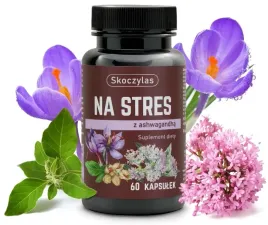 skoczylas-na-stres-z-ashwagandha-60-kaps-rownowaga-emocjonalna-stres-relaks