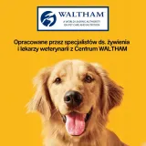 pedigree-markies-125-kg-gratis-wiek-zwierzecia-dla-wszystkich-psow
