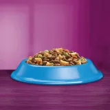 whiskas-tunczyk-6x-14-kg-smak-tunczyk