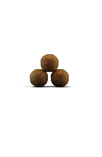 josera-kitten-grainfree-2kg-wiek-zwierzecia-kocieta-i-mlode-koty