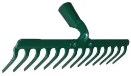 grabie-nieoprawne-8-zebne