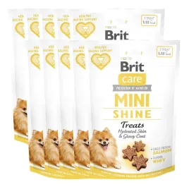 brit-care-dog-mini-snacks-shine-skora-i-siersc-losos-10pak-10x50g