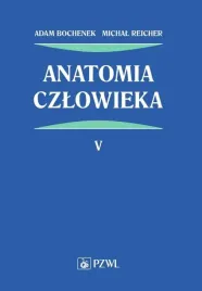 anatomia-czlowieka-t-5
