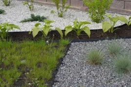 zestaw-obrzeze-trawnikowe-ogrodowe-eko-border-58mm-50m-150-kotew