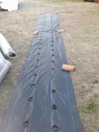 agrotkanina-z-otworami-pod-truskawki-ogorki-salate-pomidory-agrowloknina-uv