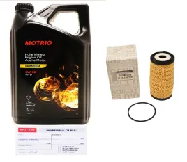 oryginalny-renault-motrio-olej-5l-castrol-gtx-5w30-rn17-filtr-oleju-2-0