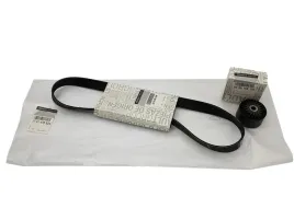 oryg-zestaw-paska-klinowego-wielorowkowego-renault-clio-iii-modus