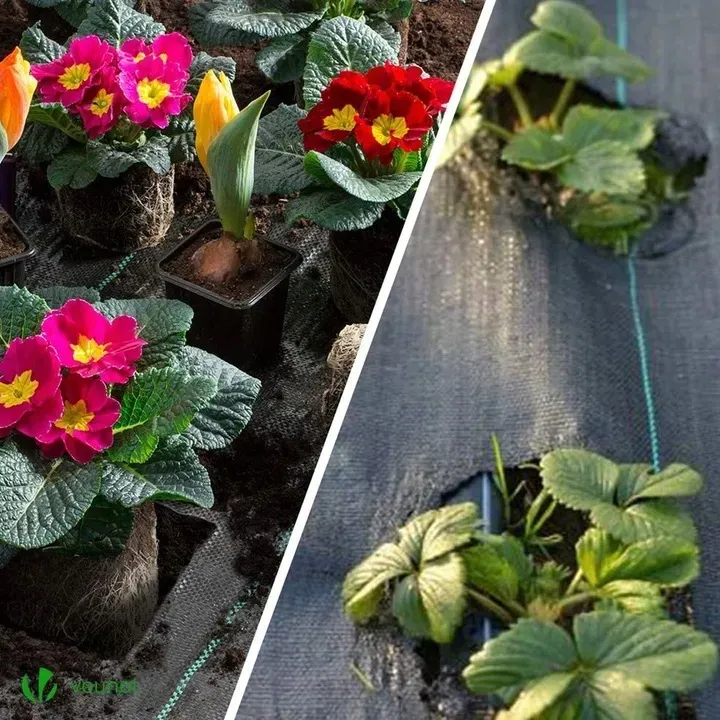 agrotkanina-agrowloknina-mata-antychwastowa-uv-3percent-90g-11x50m-50x-kolki