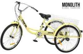 rower-3-kolowy-rehabilitacyjny-trojkolowy-1-biegow