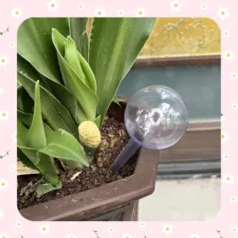 18x-kule-nawadniajace-do-kwiatow-roslin-dozownik-wody-do-podlewania-domowy