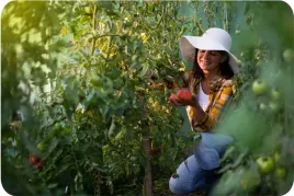 tunel-foliowy-ogrodowy-szklarnia-ogrodowa-2x35m-foliak-tyczki-7m2-bialy