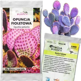 mrozoodporna-opuncja-fioletowa-opuntia-santarita-do-ogrodu-nasiona-5-nasion