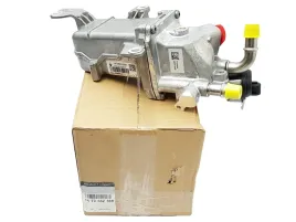 oryg-oe-renault-chlodnica-spalin-egr-2-3-dci-biturbo-master-iii-movano-b
