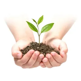 agrowloknina-agrotkanina-90g-na-chwasty-uv-czarna-16x50m-100-szpilek