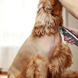 maszynka-do-strzyzenia-psow-psa-cicha-profesjonalna-bezprzewodowa-mocna