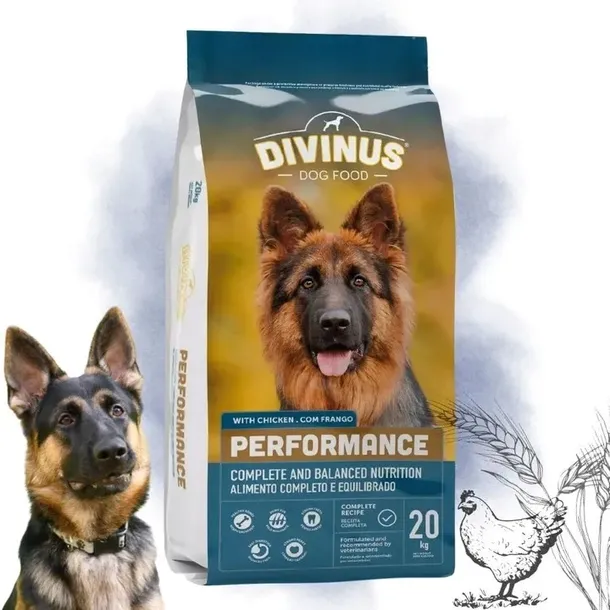 divinus-performance-karma-sucha-dla-psa-owczarek-labrador-witaminy-20kg-marka-bez-marki