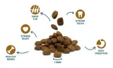 divinus-performance-karma-sucha-dla-psa-owczarek-labrador-witaminy-20kg-wiek-zwierzecia-brak-informacji