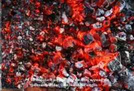 wegiel-drzewny-do-grilla-eco-10-kg-5-x-2-kg-duze-kawalki