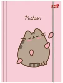 teczka-z-gumka-a4-pusheen-kot-kotek-laminowana-szkolna-majewski-pink