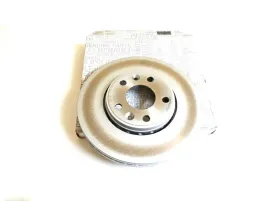 oryg-tarcze-hamulcowe-przod-laguna-megane-scenic