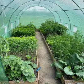 gruba-folia-na-tunel-foliowy-ogrodowy-szklarnia-foliak-uv-2x2x2m-wielosezon