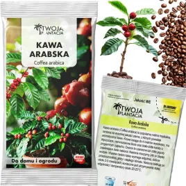 kawa-arabska-nasiona-coffea-arabica-drzewko-kawowe-do-domu-5-nasion