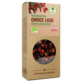 owoce-lasu-eko-herbatka-100g-dary-natury