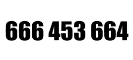 zloty-numer-666-453-664-t-mobile-starter-latwy-prosty-biznesowy-infolinia