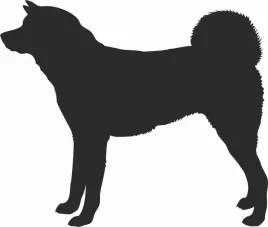 akita-inu-naklejka-na-samochod-laptopa-telefon