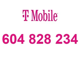 zloty-numer-604-828-234-t-mobile-starter-latwy-prosty-biznesowy-infolinia