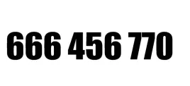 zloty-numer-666-456-770-t-mobile-starter-latwy-prosty-biznesowy-infolinia