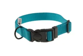 obroza-dla-psa-z-tasmy-20-mm-turkusowy-25-35-cm-s-m-mocna