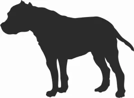 dog-argentynski-naklejka-na-samochod-laptopa-telefon