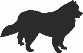 samojed-naklejka-na-samochod-laptopa-telefon