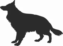 owczarek-niemiecki-dlugowlosy-naklejka-na-samochod-laptopa-telefon