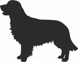 golden-retriever-naklejka-na-samochod-laptopa-telefon