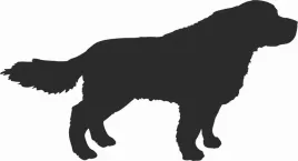 landseer-naklejka-na-samochod-laptopa-telefon