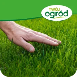nawoz-do-trawnikow-4kg-do-trawy-regenerujacy-zageszczajacy